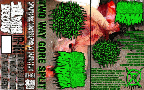 Gastric Fluid : Two Way Gore Split